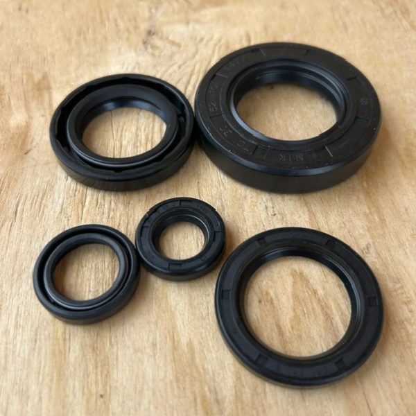 Engine Oil Seal Set Beta TR240