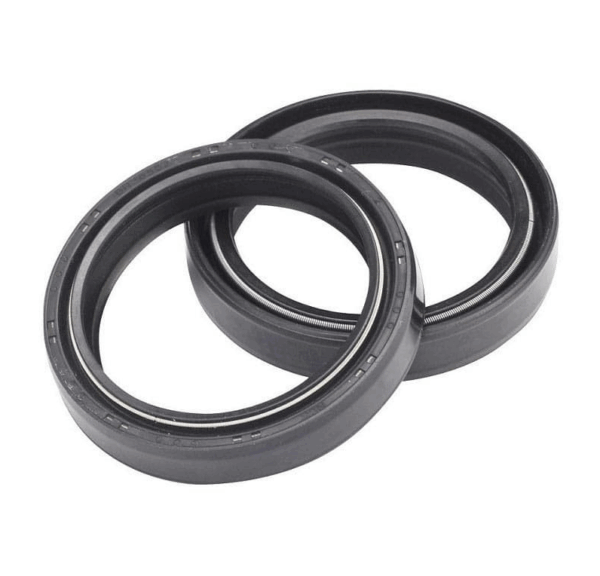 Fork Seals (Pair) Beta Techno 1996