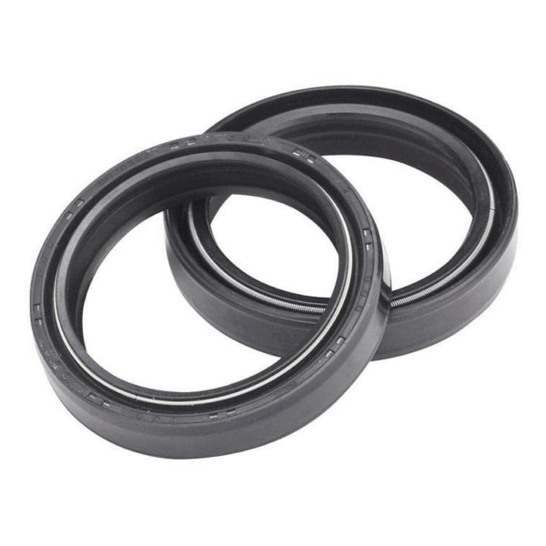 Fork Seals (Pair) Beta Techno 1996